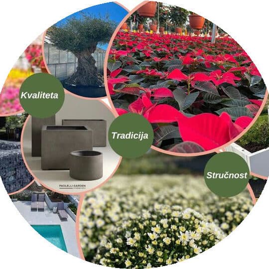 Duplančić Bećo – biljke i ljudi u zelenilu